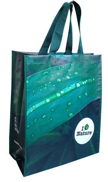 Biopolis shopping bag