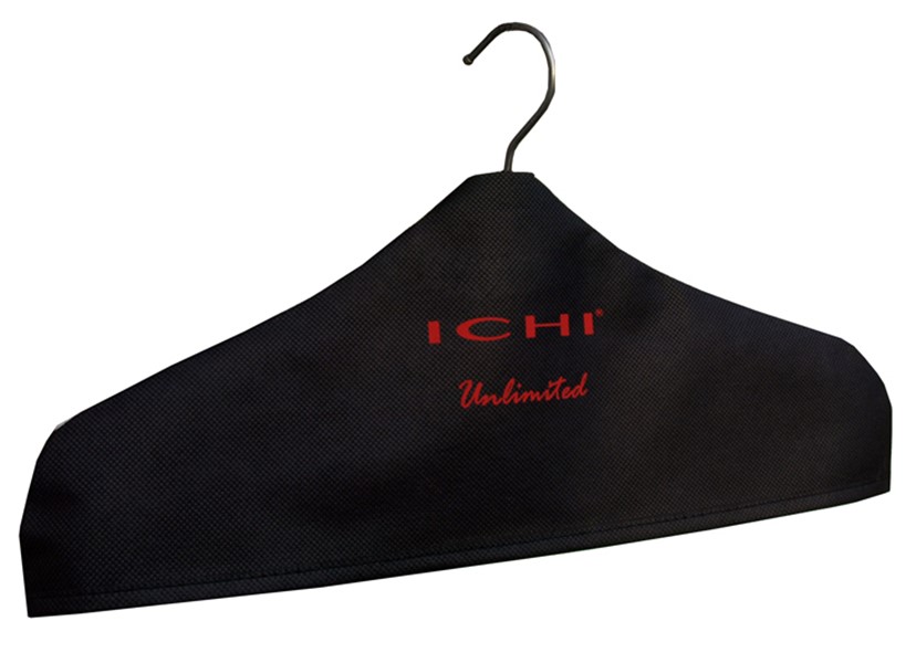 Ichi Hanger Cover