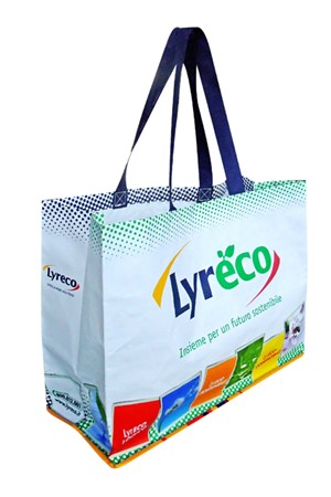 Borsa Lyreco in PP